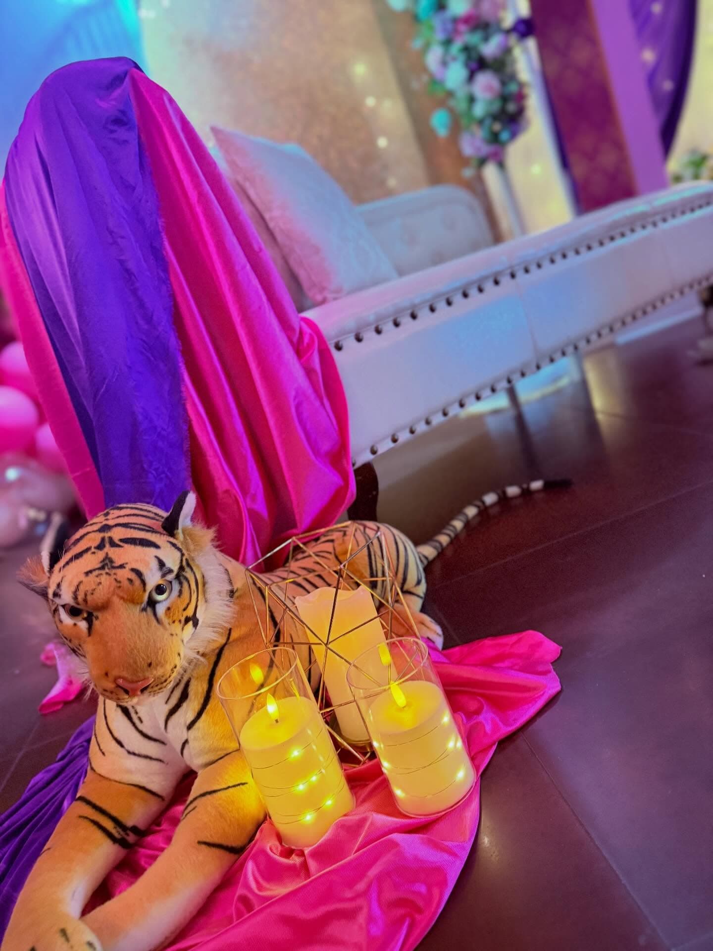 Quince años de Ainara miniatura 6